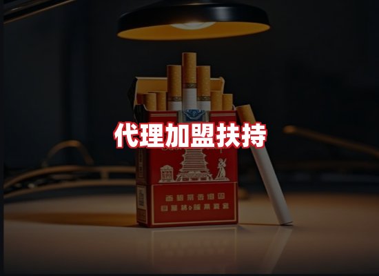 专业团队